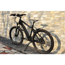 2020 Changzhou factory Best selling Electric Bike 26inch 27.5inch Electric Mountain E Bike